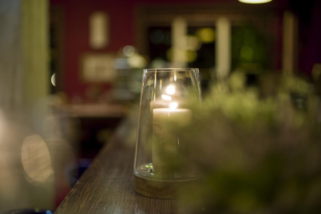 Hotel I Restauracja Złoty Las エクステリア 写真